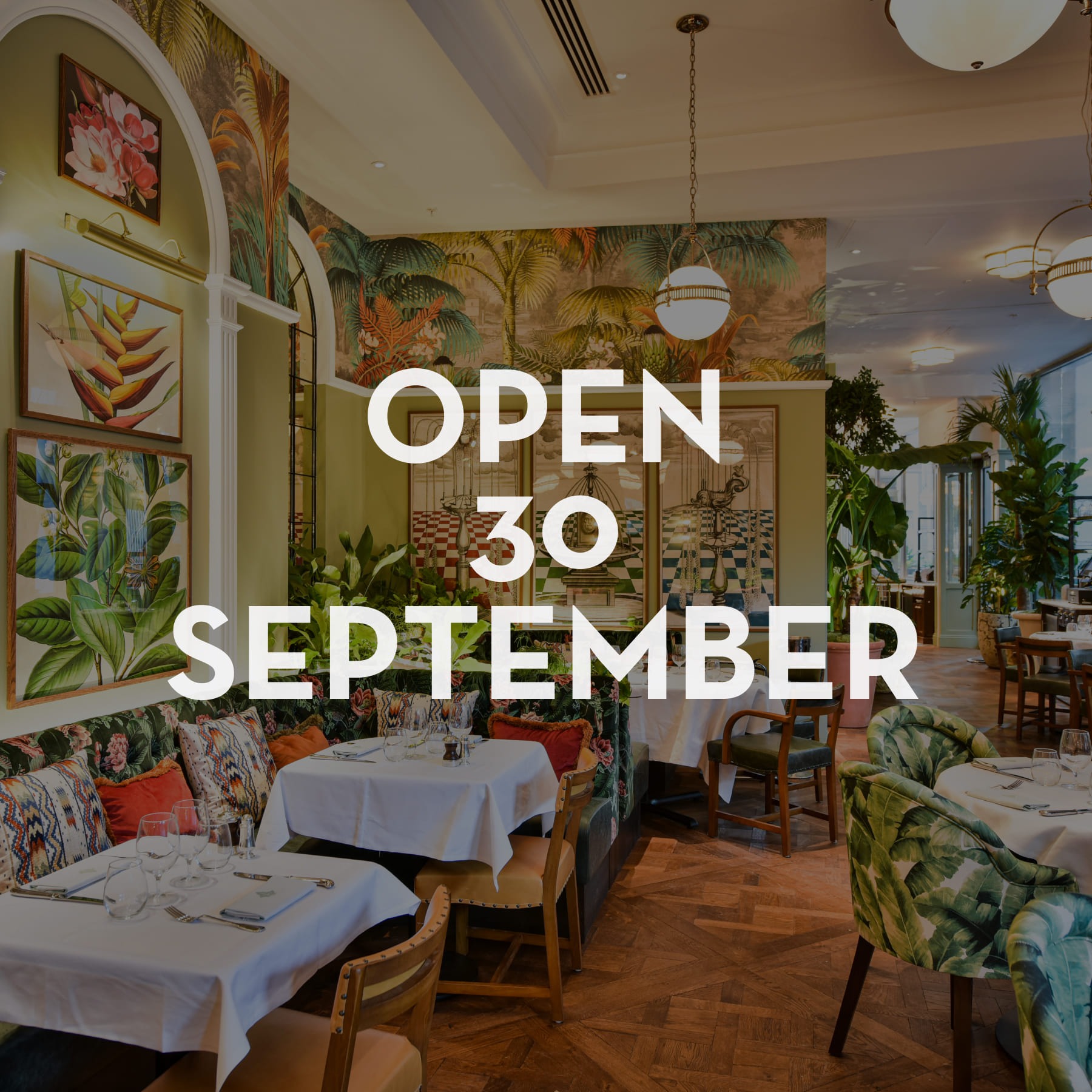 northcote road opening date